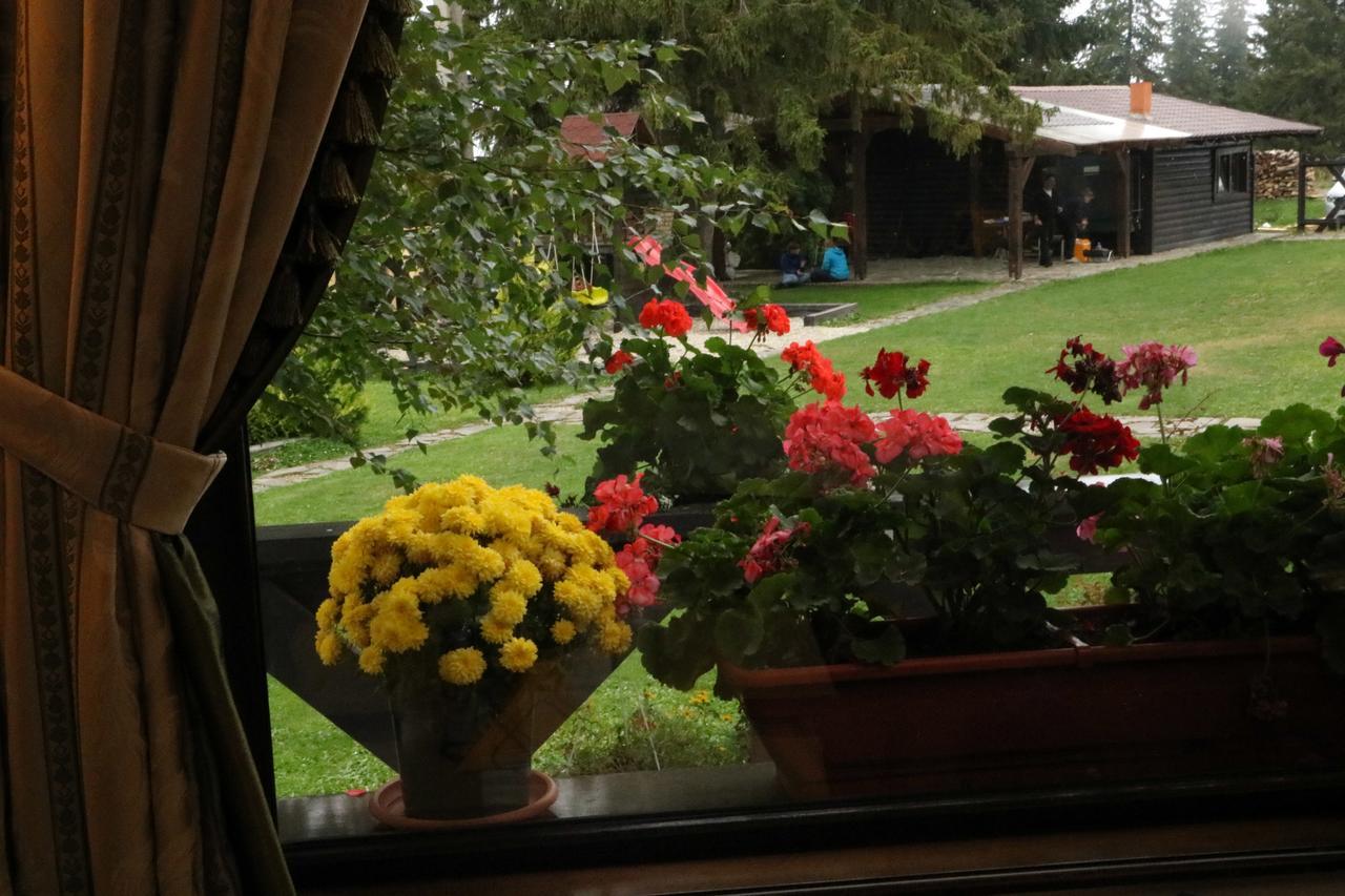 Pensiunea Rafael Păltiniş Esterno foto